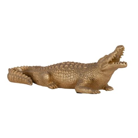 Richmond Krokodil Deco Goud