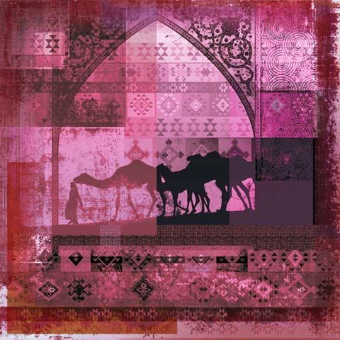 Arabische Camels | Safaary
